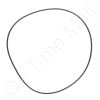 A21374 O-Ring for Steam Generator
