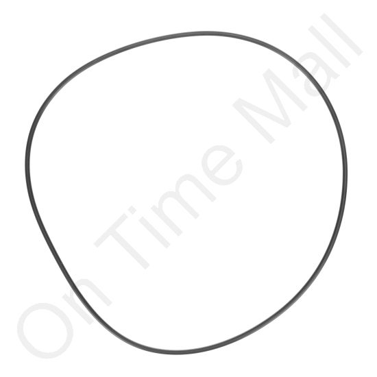 Armstrong A21374 O-Ring for Steam Generator