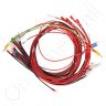Carel 10C615A092USP Auxilliary Wires Kit