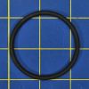 Armstrong B9617 O Ring For Tank Drain Adpt