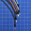 Carel 10C615A036 Wire Harness
